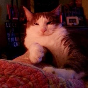 Meet your Posher, Hope